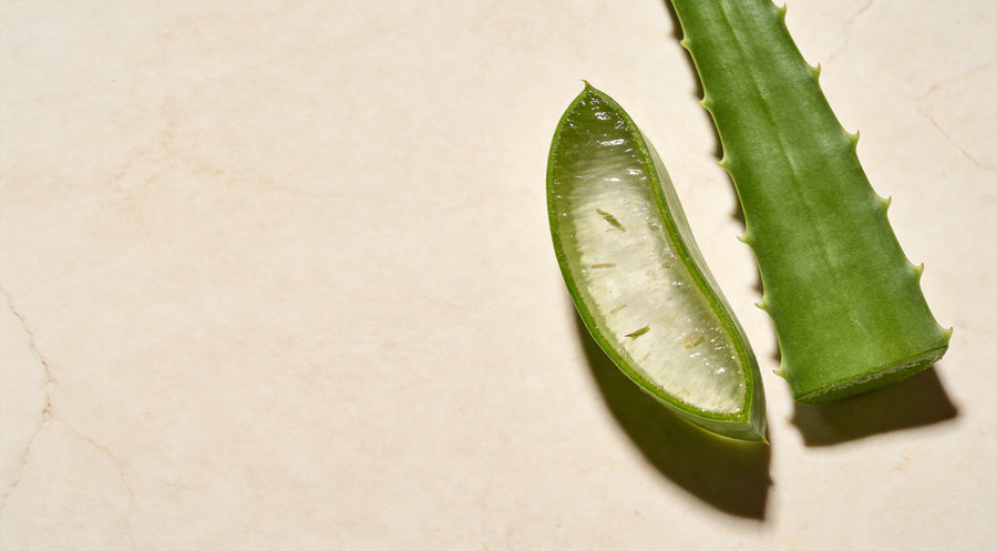 Aloe instead of water: what organic aloe vera juice does in our formulas